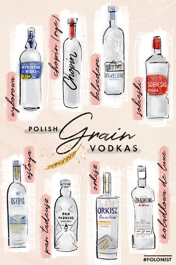 12 Best Polish Vodka Brands You Have to Try [2023]