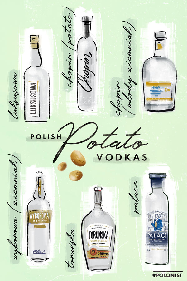 12 Best Polish Vodka Brands You Have to Try [2023]